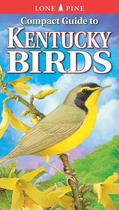 Michael Roedel, Gregory Kennedy - Compact Guide to Kentucky Birds, Häftad
