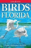Bill Pranty, Kurt Radamaker - Birds of Florida, Häftad