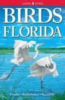 Birds of Florida 1