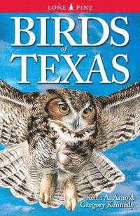 bokomslag Birds of Texas
