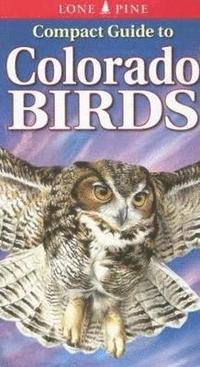 bokomslag Compact Guide to Colorado Birds