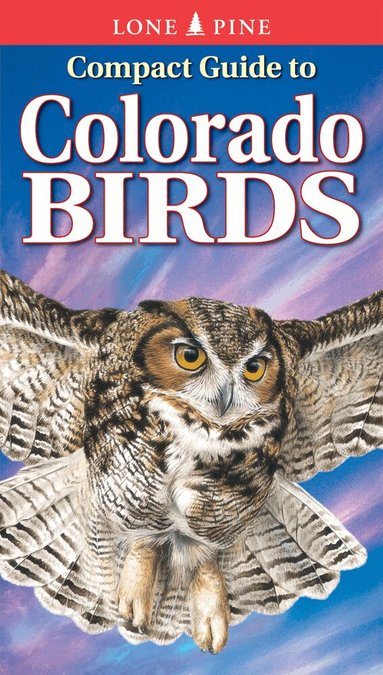 Michael Roedel, Krista Kagume, Gregory Kennedy - Compact Guide to Colorado Birds, Häftad