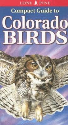 bokomslag Compact Guide to Colorado Birds