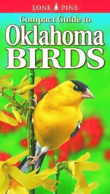 Compact Guide to Oklahoma Birds