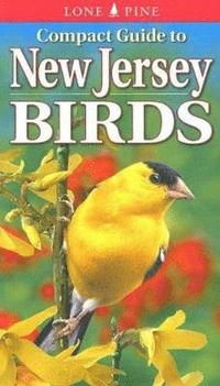 bokomslag Compact Guide to New Jersey Birds