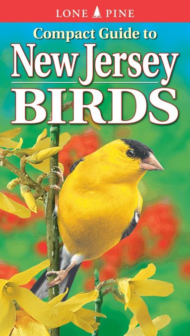 Paul Lehman, Gregory Kennedy, Krista Kagume - Compact Guide to New Jersey Birds, Häftad