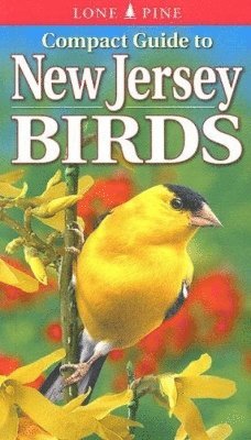Compact Guide to New Jersey Birds 1