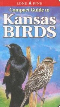 bokomslag Compact Guide to Kansas Birds