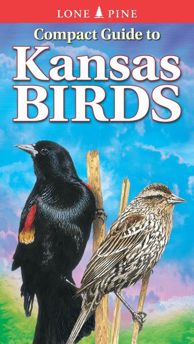 Ted Cable, Gregory Kennedy - Compact Guide to Kansas Birds, Häftad