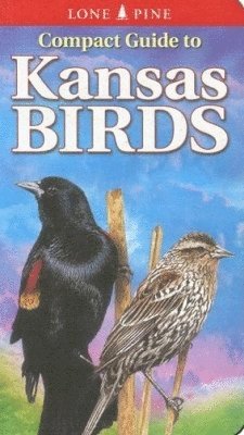 Compact Guide to Kansas Birds 1