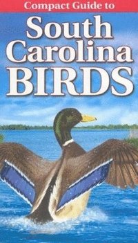 bokomslag Compact Guide to South Carolina Birds