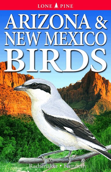 Kurt Radamaker, Cindy Radamaker, Gregory Kennedy - Arizona and New Mexico Birds, Häftad