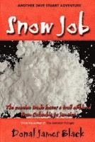 bokomslag Snow Job