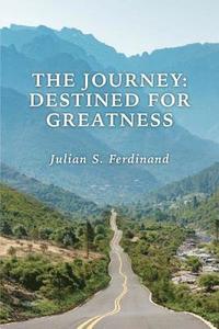 bokomslag The Journey: Destined for Greatness