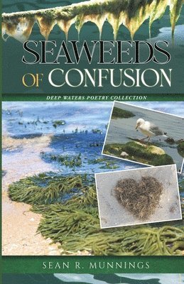 bokomslag Seaweeds of Confusion