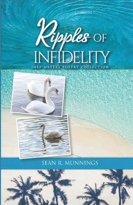 bokomslag Ripples of Infidelity