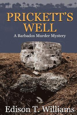 Edison T. Williams - Prickett's Well: Who the Body is?, Häftad