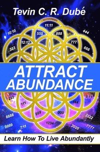 bokomslag Attract Abundance