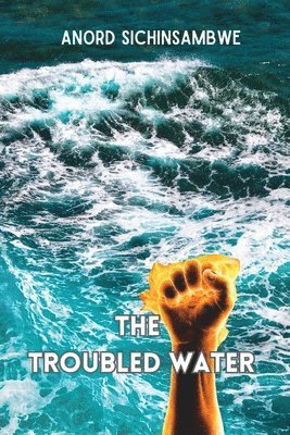 The Troubled Water 1