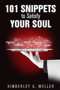 bokomslag 101 Snippets to Satisfy Your Soul