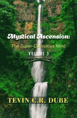 bokomslag Mystical Ascension