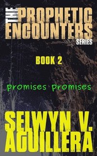 bokomslag Prophetic Encounters Series