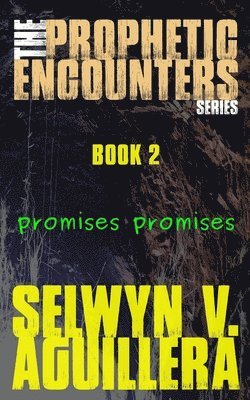 bokomslag The Prophetic Encounters Series: Book 2: Promises Promises