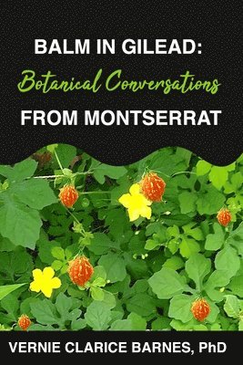 bokomslag Balm in Gilead: Botanical Conversations From Montserrat.