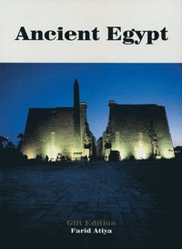 bokomslag Ancient Egypt