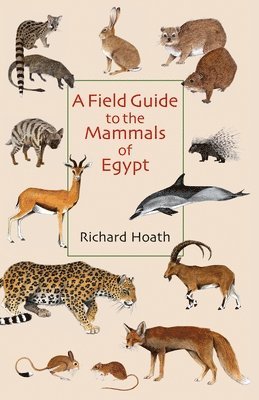 A Field Guide to the Mammals of Egypt 1