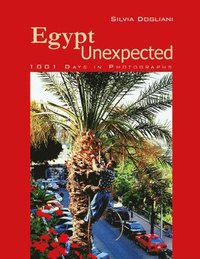 bokomslag Egypt Unexpected
