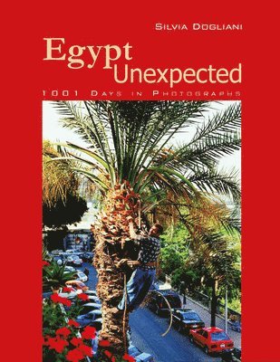 bokomslag Egypt Unexpected