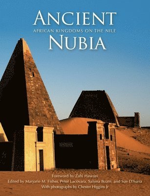 bokomslag Ancient Nubia