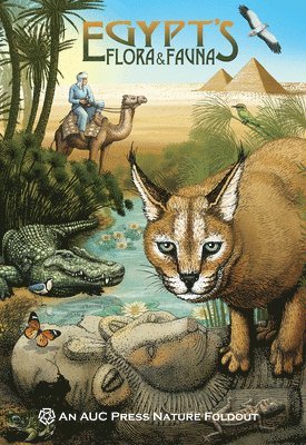bokomslag Egypt's Flora & Fauna