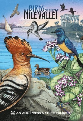 Birds of the Nile Valley