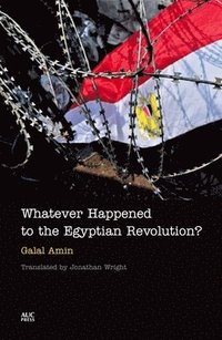bokomslag Whatever Happened to the Egyptian Revolution?
