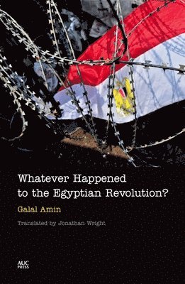 bokomslag Whatever Happened to the Egyptian Revolution?