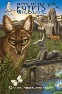 bokomslag Ancient Egypt's Wildlife: An Auc Press Nature Foldout