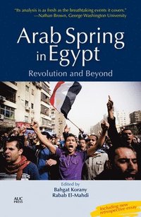 bokomslag Arab Spring in Egypt