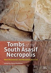 bokomslag Tombs of the South Asasif Necropolis