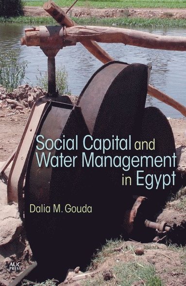 bokomslag Social Capital and Local Water Management in Egypt