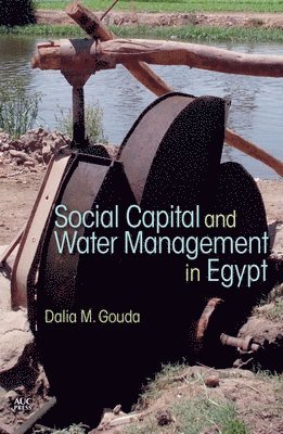 Social Capital and Local Water Management in Egypt 1