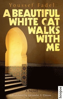 A Beautiful White Cat Walks with Me 1