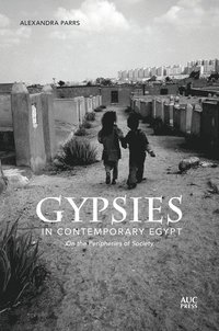 bokomslag Gypsies in Contemporary Egypt