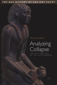 bokomslag Analyzing Collapse