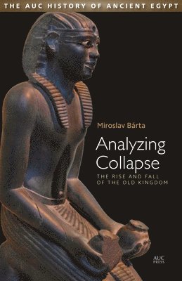 Miroslav Barta, Miroslav Bárta, Aidan Dodson - Analyzing Collapse, Inbunden
