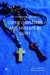 bokomslag Copts and Muslims in Egypt