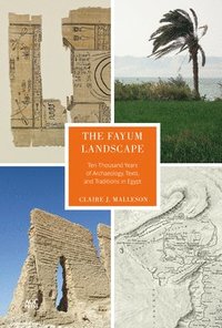 bokomslag The Fayum Landscape