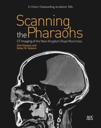 bokomslag Scanning the Pharaohs