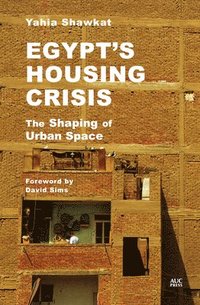 bokomslag Egypt's Housing Crisis